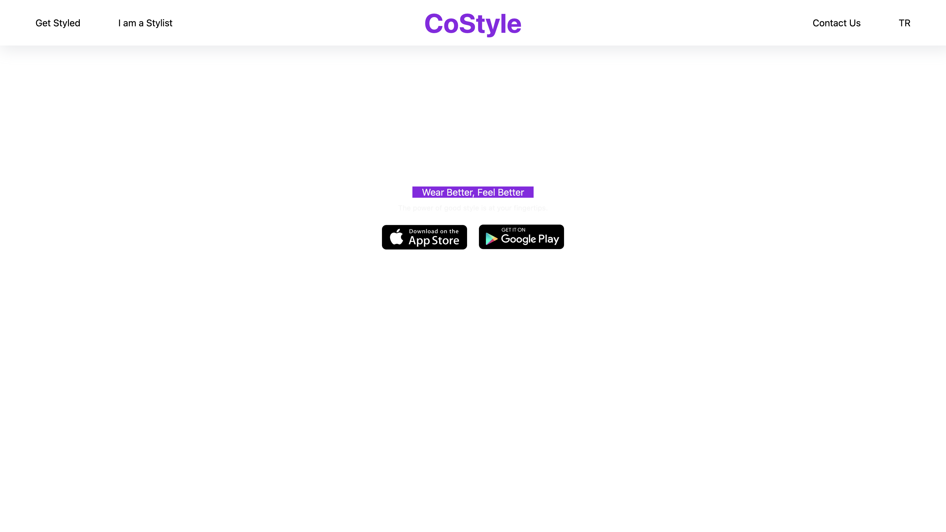 CoStyle