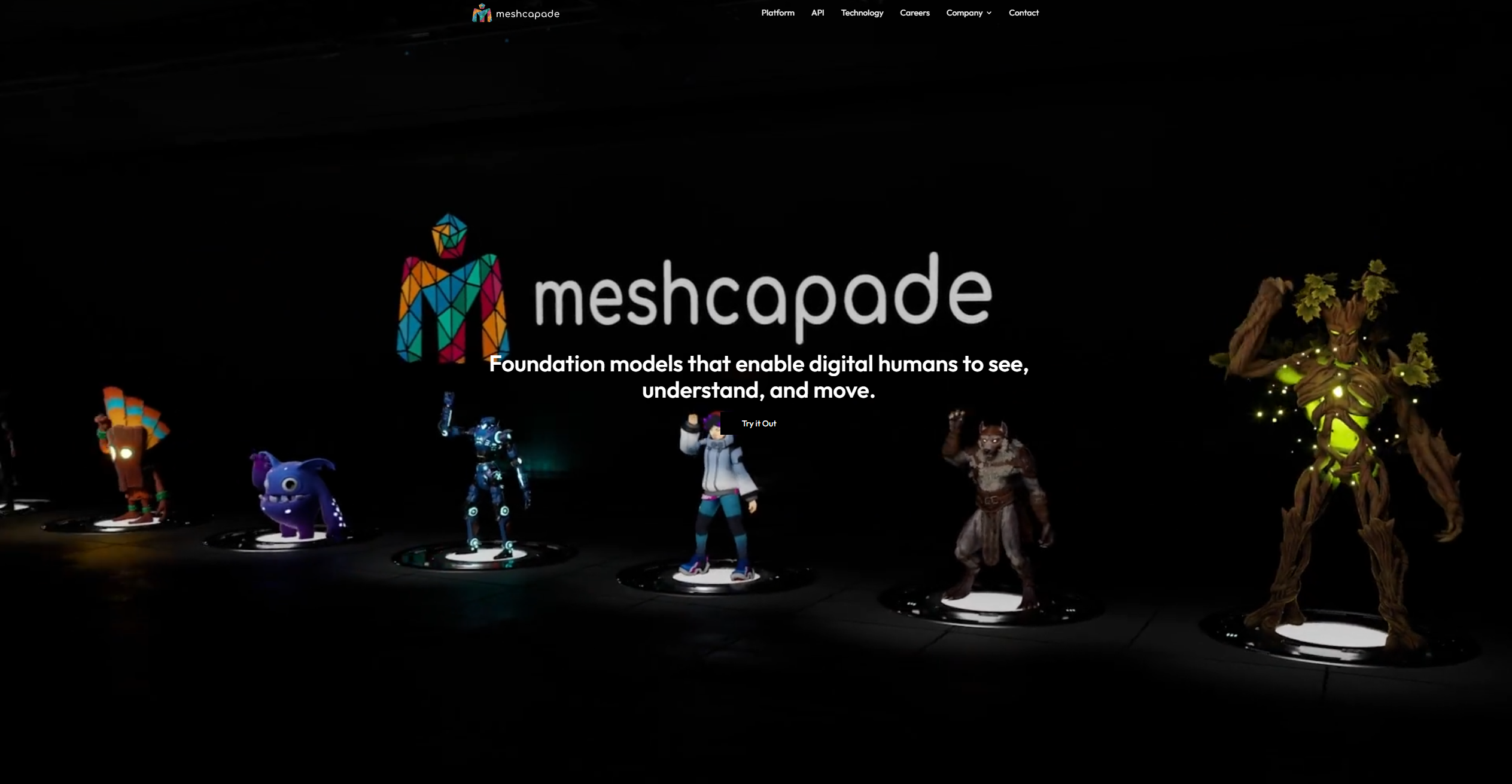 Meshcapade